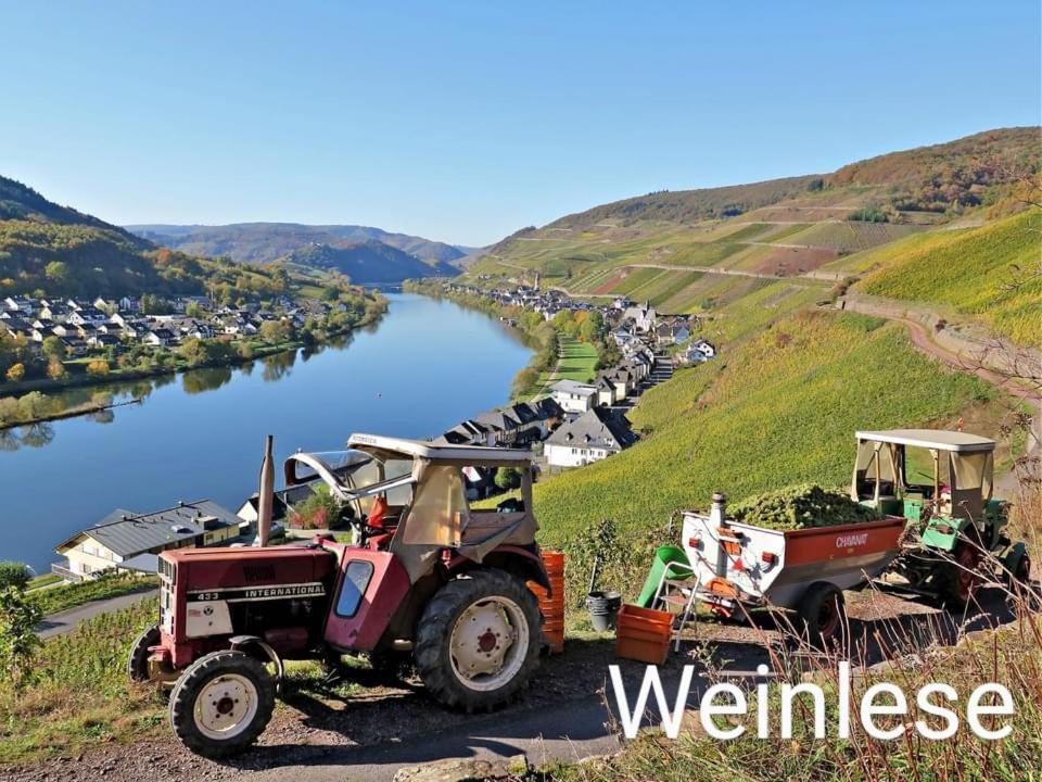 Haus Marientaler Au Gbr Zell an der Mosel Exterior foto